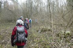 2023-02-28-SAC-RS-10-Ruinenweg-TG-012