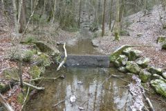 2023-02-28-SAC-RS-Ruinenweg-TG-070