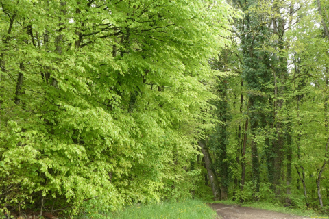 2023-05-02-SteinaRhein-HKlinge-037