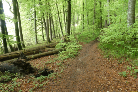 2023-05-02-SteinaRhein-HKlinge-044