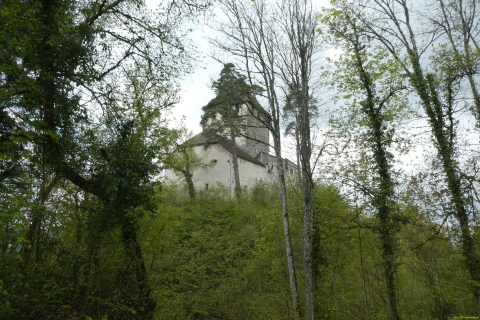 2023-05-02-SteinaRhein-HKlinge-054