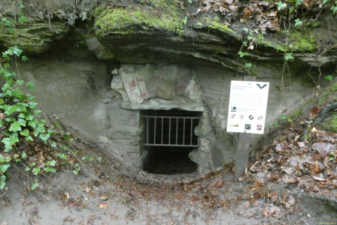 2023-05-02-SteinaRhein-HKlinge-095