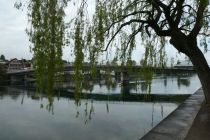 2023-05-02-SteinaRhein-HKlinge-003