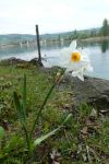 2023-05-02-SteinaRhein-HKlinge-014
