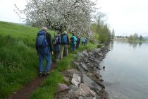 2023-05-02-SteinaRhein-HKlinge-018