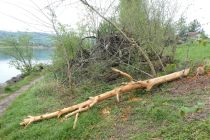 2023-05-02-SteinaRhein-HKlinge-020