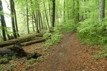 2023-05-02-SteinaRhein-HKlinge-044