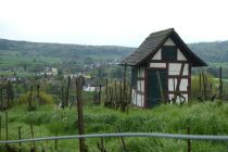 2023-05-02-SteinaRhein-HKlinge-097