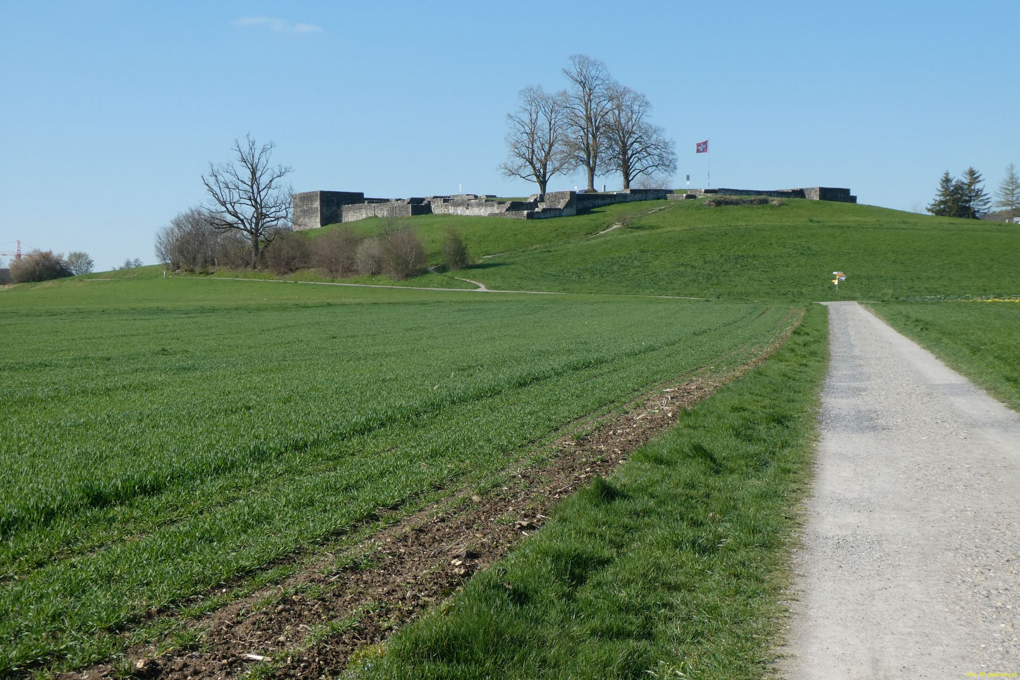 2023-04-04-SAC-RS-Rosinli-67_bearbeitet-1