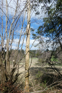 2023-04-04-SAC-RS-Rosinli-12