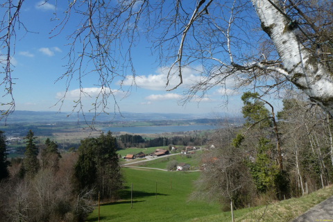 2023-04-04-SAC-RS-Rosinli-28