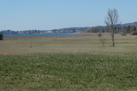 2023-04-04-SAC-RS-Rosinli-64