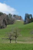 2023-04-04-SAC-RS-Rosinli-39