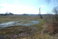 2023-04-04-SAC-RS-Rosinli-56