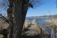 2023-04-04-SAC-RS-Rosinli-58