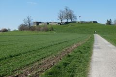 2023-04-04-SAC-RS-Rosinli-67_bearbeitet-1