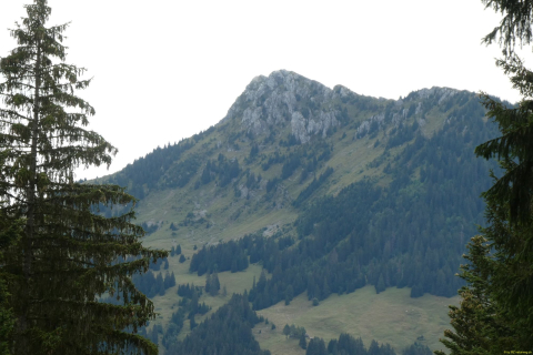 2023-08-30-SAC-RS-Geologieweg-013