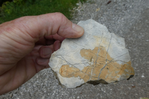 2023-08-30-SAC-RS-Geologieweg-051