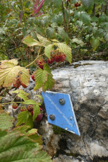 2023-08-30-SAC-RS-Geologieweg-069