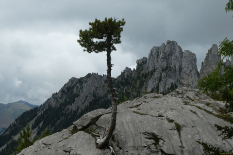2023-08-30-SAC-RS-Geologieweg-135
