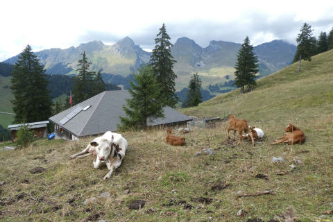 2023-08-30-SAC-RS-Geologieweg-159