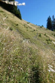 2023-09-01-SAC-RS-Jaun-Gaelli-038