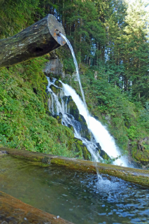 2023-09-02-Jaun-Heimreise-35_bearbeitet-1