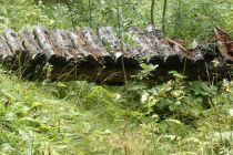 2023-08-30-SAC-RS-Geologieweg-086