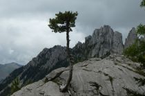 2023-08-30-SAC-RS-Geologieweg-135