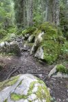 2023-08-30-SAC-RS-Geologieweg-148