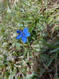 IMG20230427112707