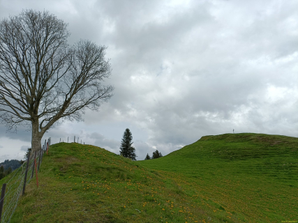 IMG20230427140705