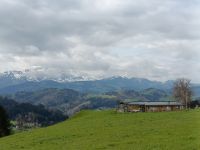 IMG20230427105017