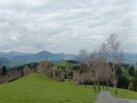 IMG20230427111830