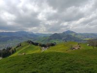IMG20230427140314