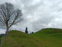 IMG20230427140705