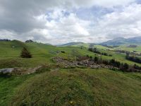 IMG20230427143115
