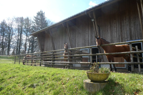 2023-03-28-SAC-RS-Vogelsang-14
