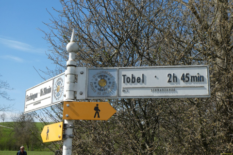 2023-03-28-SAC-RS-Vogelsang-33