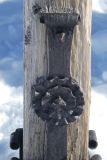 2023-02-16-SAC-SG-Tiergartensp-097