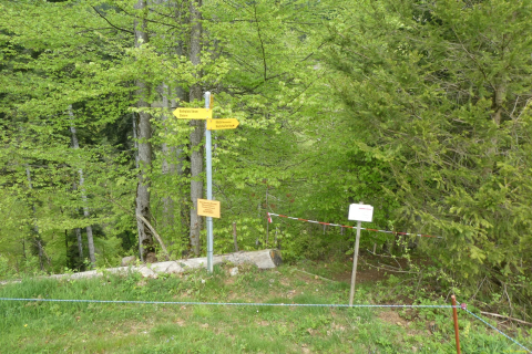 2023-05-09-SAC-RS-Zoller4Baeche-39