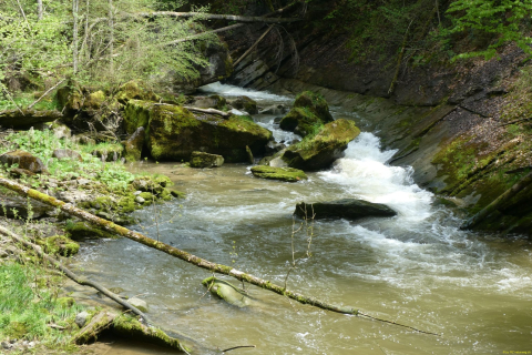 2023-05-09-SAC-RS-Zoller4Baeche-51