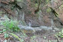 2023-05-09-SAC-RS-Zoller4Baeche-10
