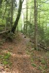 2023-05-09-SAC-RS-Zoller4Baeche-18