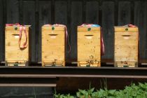2023-05-09-SAC-RS-Zoller4Baeche-27