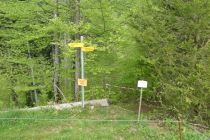 2023-05-09-SAC-RS-Zoller4Baeche-39