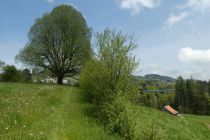 2023-05-09-SAC-RS-Zoller4Baeche-41