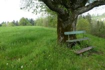 2023-05-09-SAC-RS-Zoller4Baeche-42