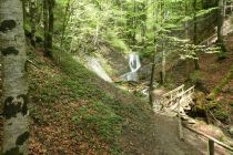 2023-05-09-SAC-RS-Zoller4Baeche-64
