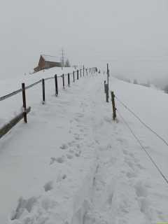 2024-01-09-SAC-Hundwilerhoehe-03